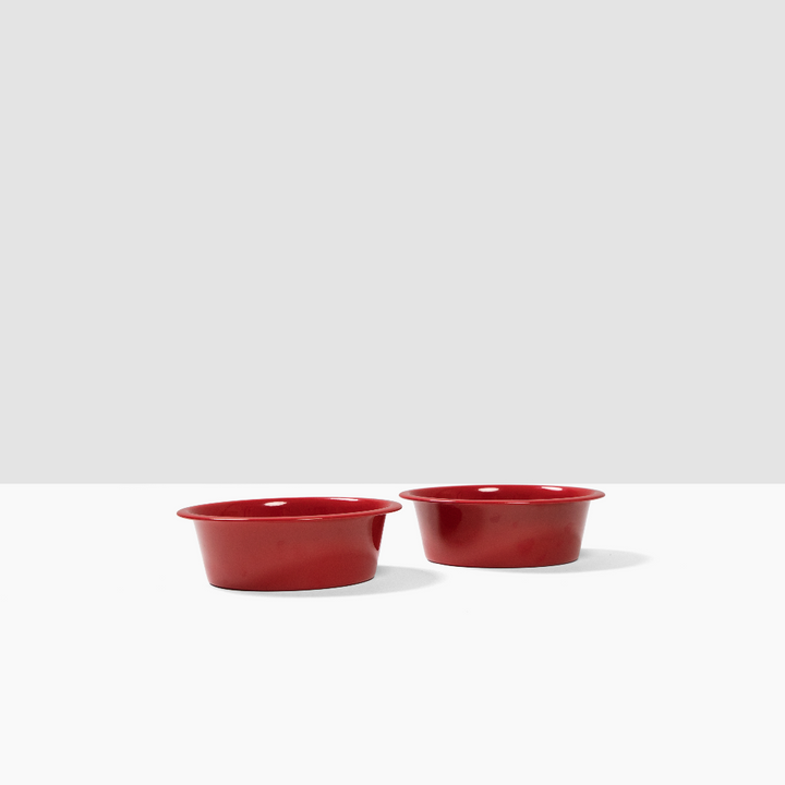 Hiddin Stainless Steel Pet Bowls – Set of 2