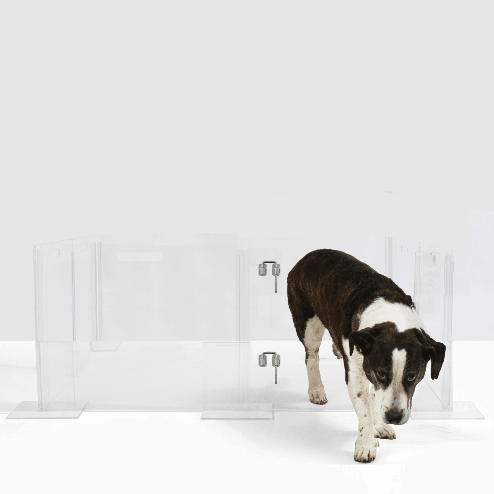 Hiddin Clear Acrylic Pet Playpen with Door – 24 in High