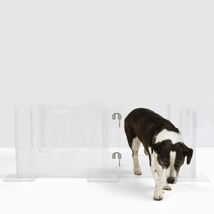 Hiddin Clear Acrylic Pet Playpen with Door – 24 in High