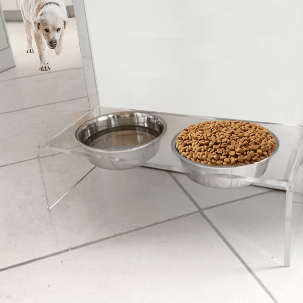 Hiddin Clear Acrylic Double Feeder with Silver Bowls – 7 in High
