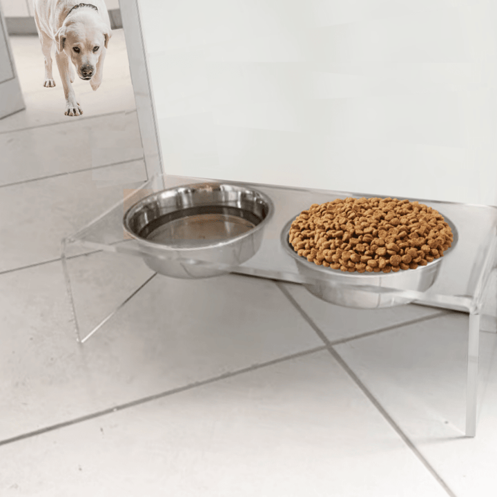 Hiddin Clear Acrylic Double Feeder with Silver Bowls – 7 in High