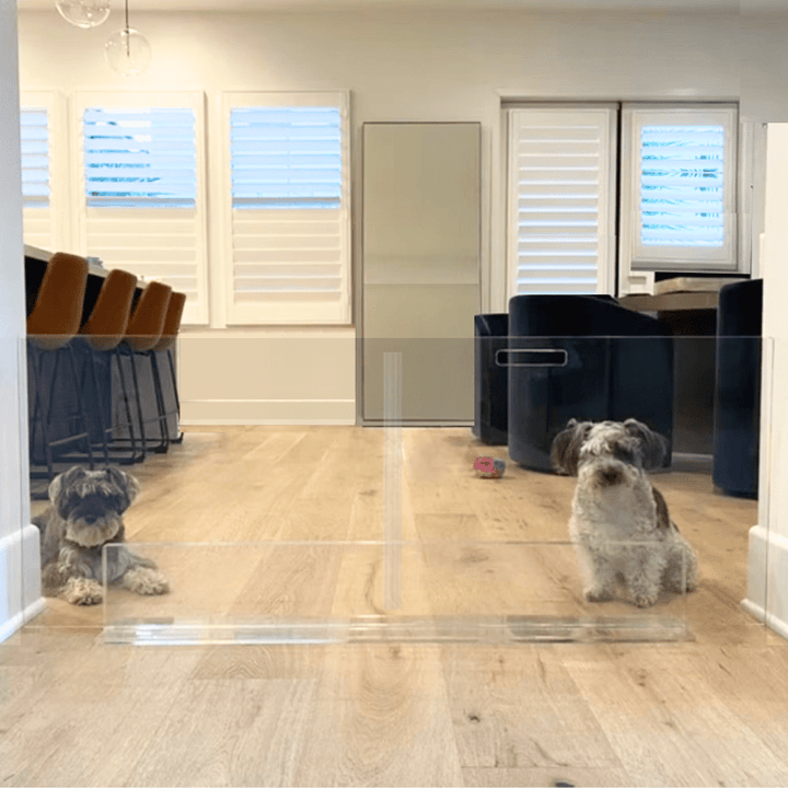 Hiddin Clear Acrylic Panel Pet Gate – Freestanding, 24 in High