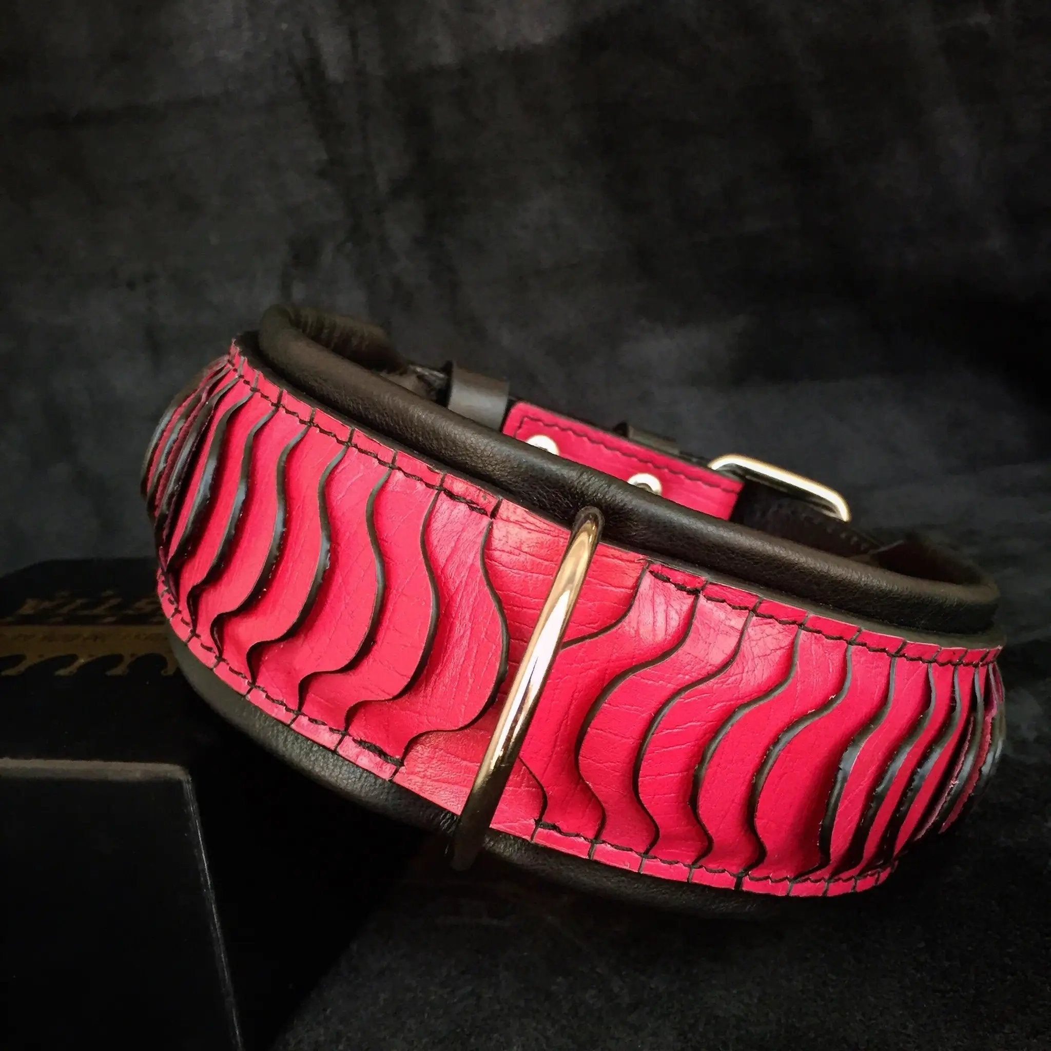 The ''Spine'' collar - Pet Collars & Harnesses from Bestia Dog Gear
