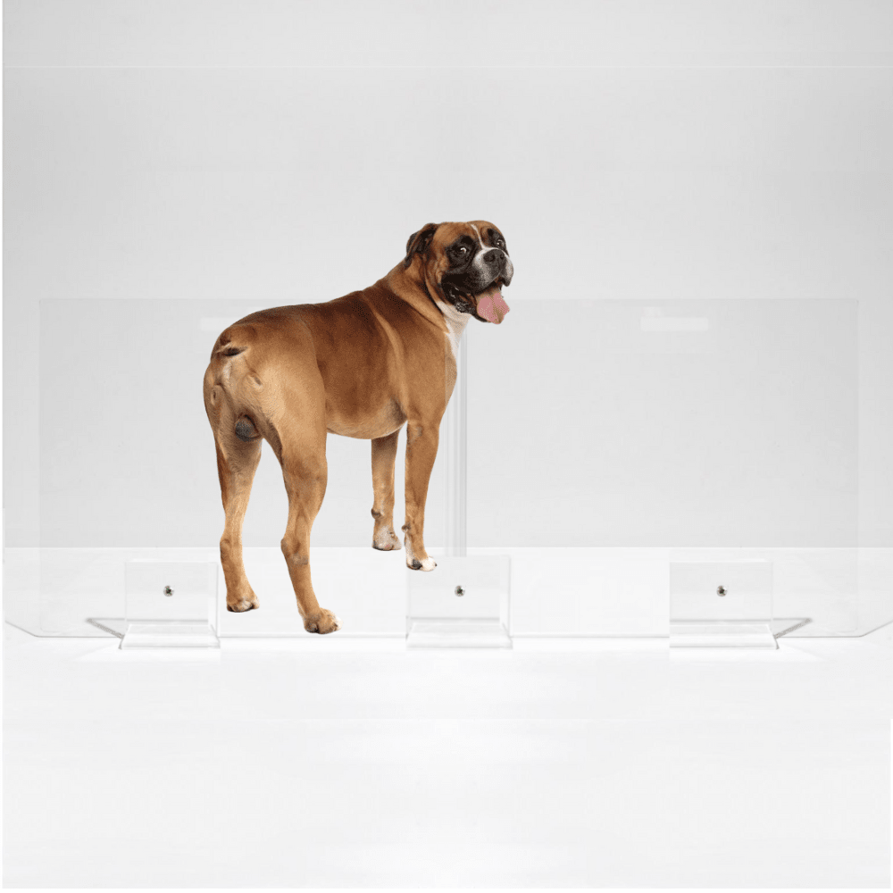 Hiddin Clear Acrylic Panel Pet Gate – Freestanding, 30 in High