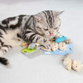Cargar la imagen en la vista de la galería, Calsgkspray 3 Pcs Plush Cat Toys Interactive Squeaky Mice With Scratching Post Blue Khaki Colors by Deal US
