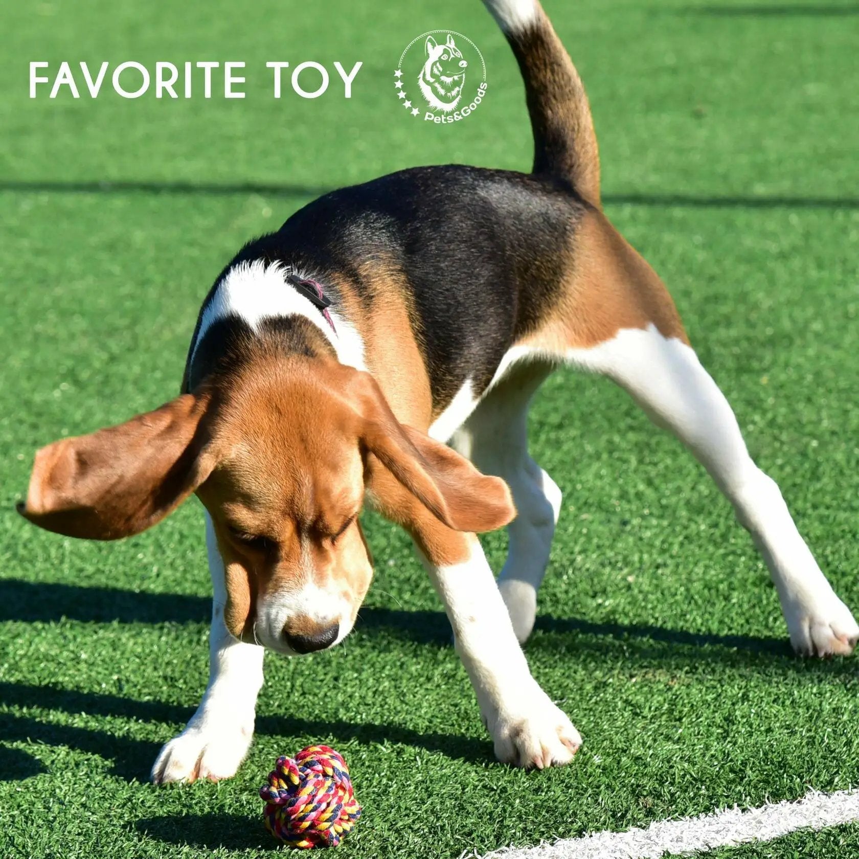 Pets&Goods 13 Pack Rope Dog Toy Set 100 Cotton Durable Chew Tug Toys For Puppies Small Breeds by Deal US
