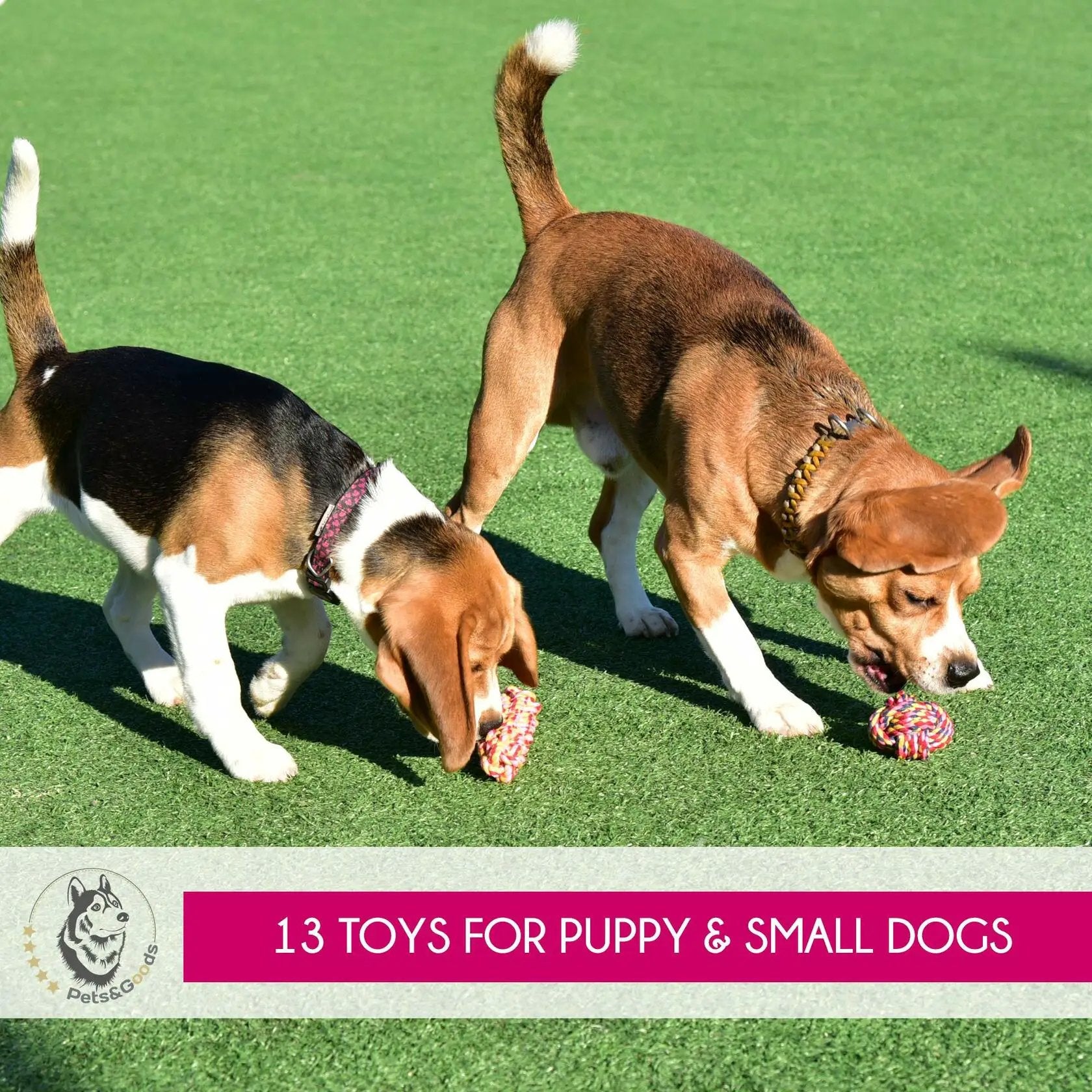 Pets&Goods 13 Pack Rope Dog Toy Set 100 Cotton Durable Chew Tug Toys For Puppies Small Breeds by Deal US