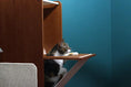 Charger l'image dans la visionneuse de la galerie, The Overlook bamboo cat tree cat condo by Catastrophic Creations featuring a wooden platform.

