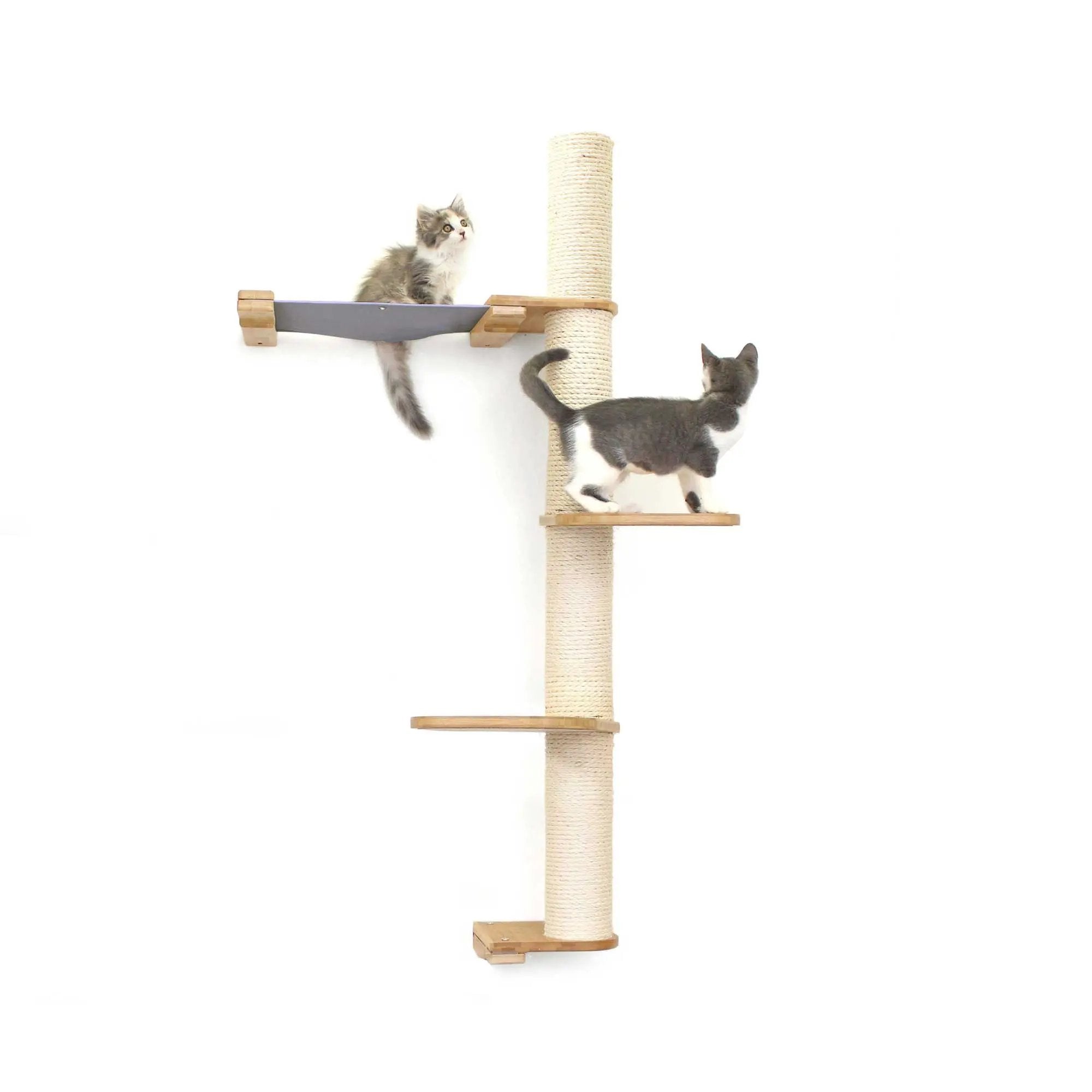 The Crow's Nest wall cat scratcher with hammock, natural wood and sisal rope; two kittens nearby