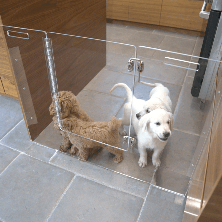 Hiddin Clear Acrylic Pet Gate with Door – Wall-Mounted, 30 in High