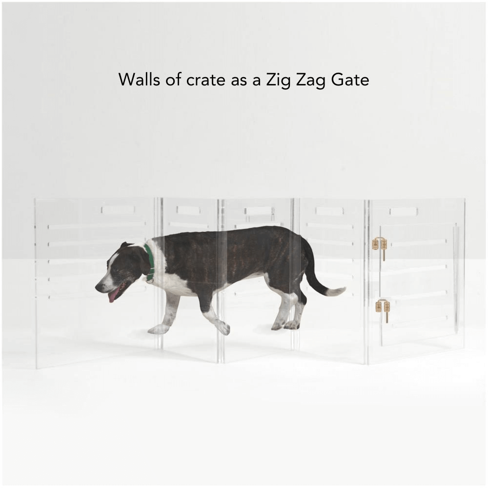 Hiddin Clear Acrylic Dog Crate – Medium, Gold Latch
