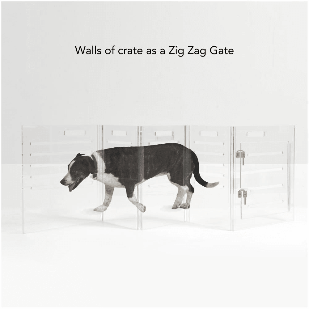 Hiddin Clear Acrylic Dog Crate – Large, Gold Latch