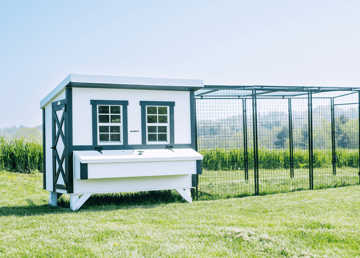 Large Chicken Coop - Up to 15 Chickens