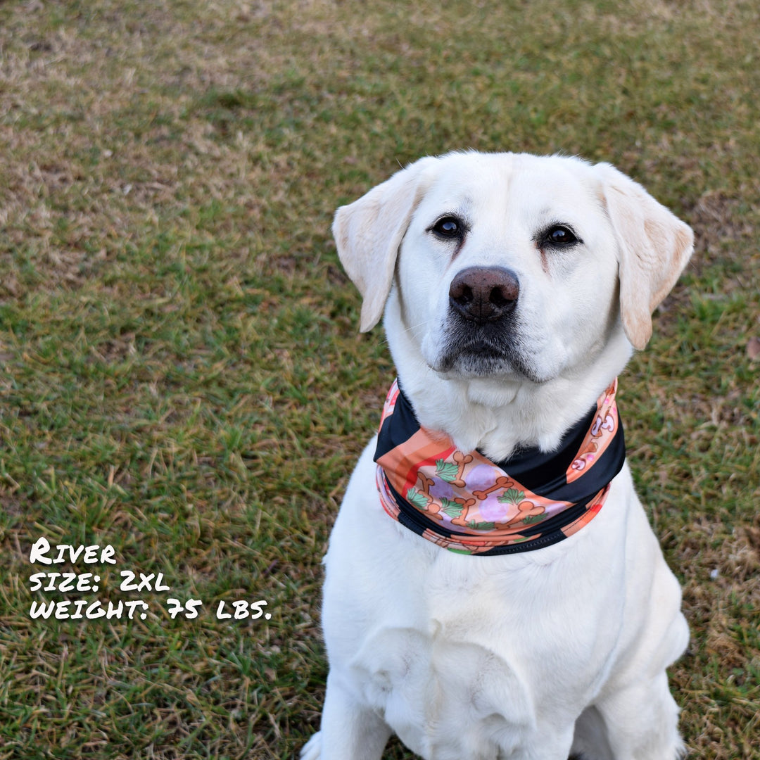Pizza Luva Pup Scruff Dog Bandana
