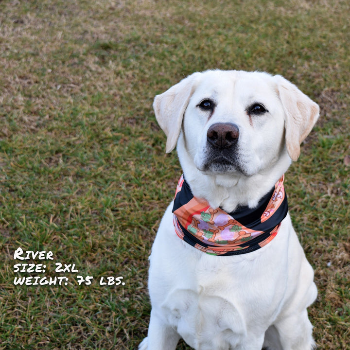 Pizza Luva Pup Scruff Dog Bandana