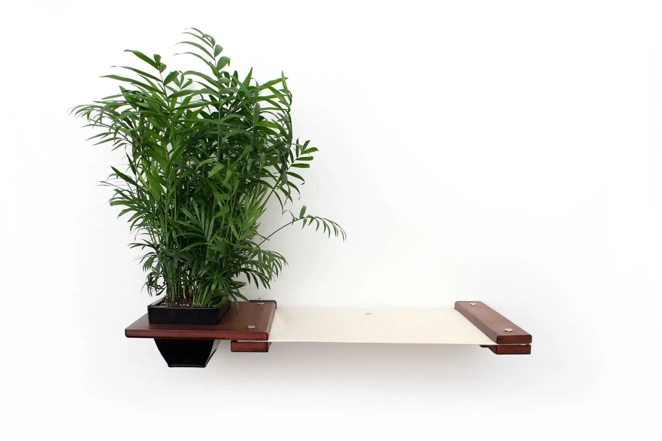 Cat Hammock Wall with Planter; black planter with green plant and beige hammock.