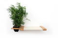 Load image into Gallery viewer, Cat Hammock Wall with Planter on a wooden shelf featuring a lush green potted plant

