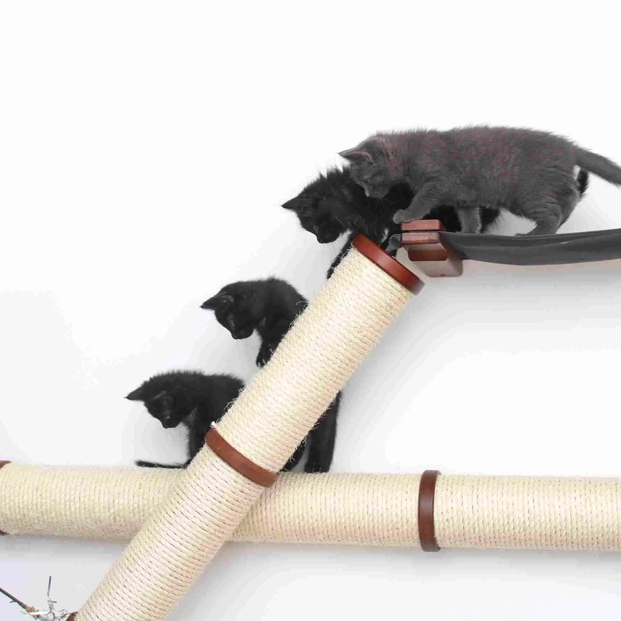 The Plateau horizontal cat scratcher bed set in beige rope with wood frame; two cats on it.