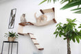 Carica l'immagine nel visualizzatore della galleria, The Play cat condo wall system by Catastrophic Creations, beige fabric hammock with wooden shelves, two cats.
