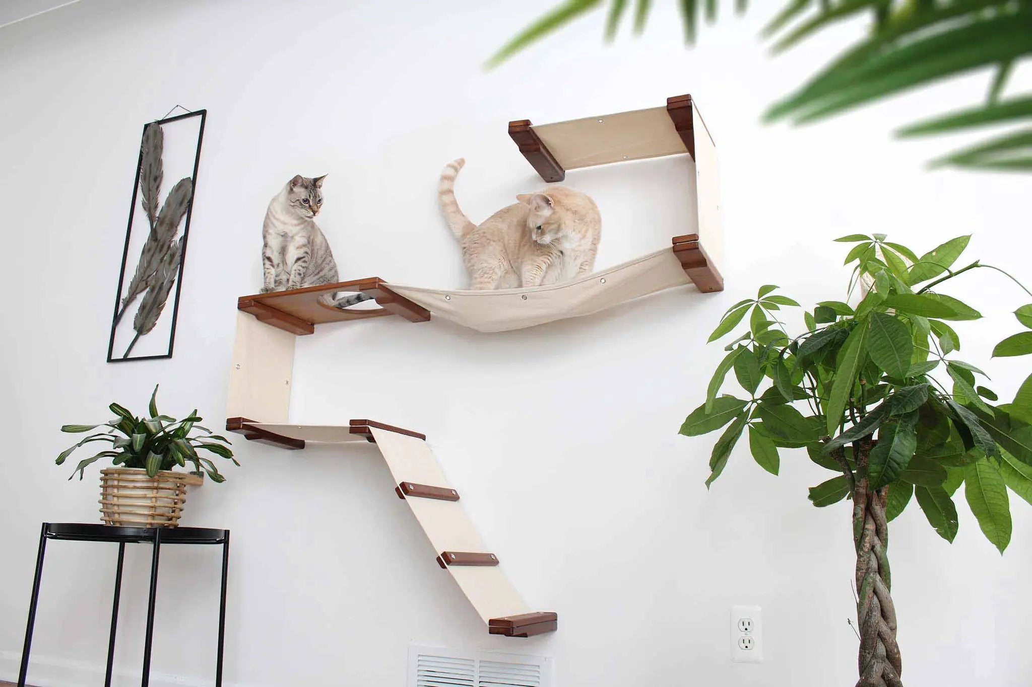 The Play cat condo wall system by Catastrophic Creations, beige fabric hammock with wooden shelves, two cats.
