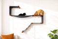 Carica l'immagine nel visualizzatore della galleria, The Play Cat Condo Wall System by Catastrophic Creations; gray panels with wood brackets, two cats.
