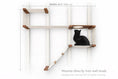 Carica l'immagine nel visualizzatore della galleria, The Play cat condo wall system by Catastrophic Creations with cream shelves and ramp; black cat on platform
