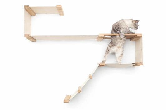 The Play cat play wall system cat condo with natural wood platforms and curved ramp