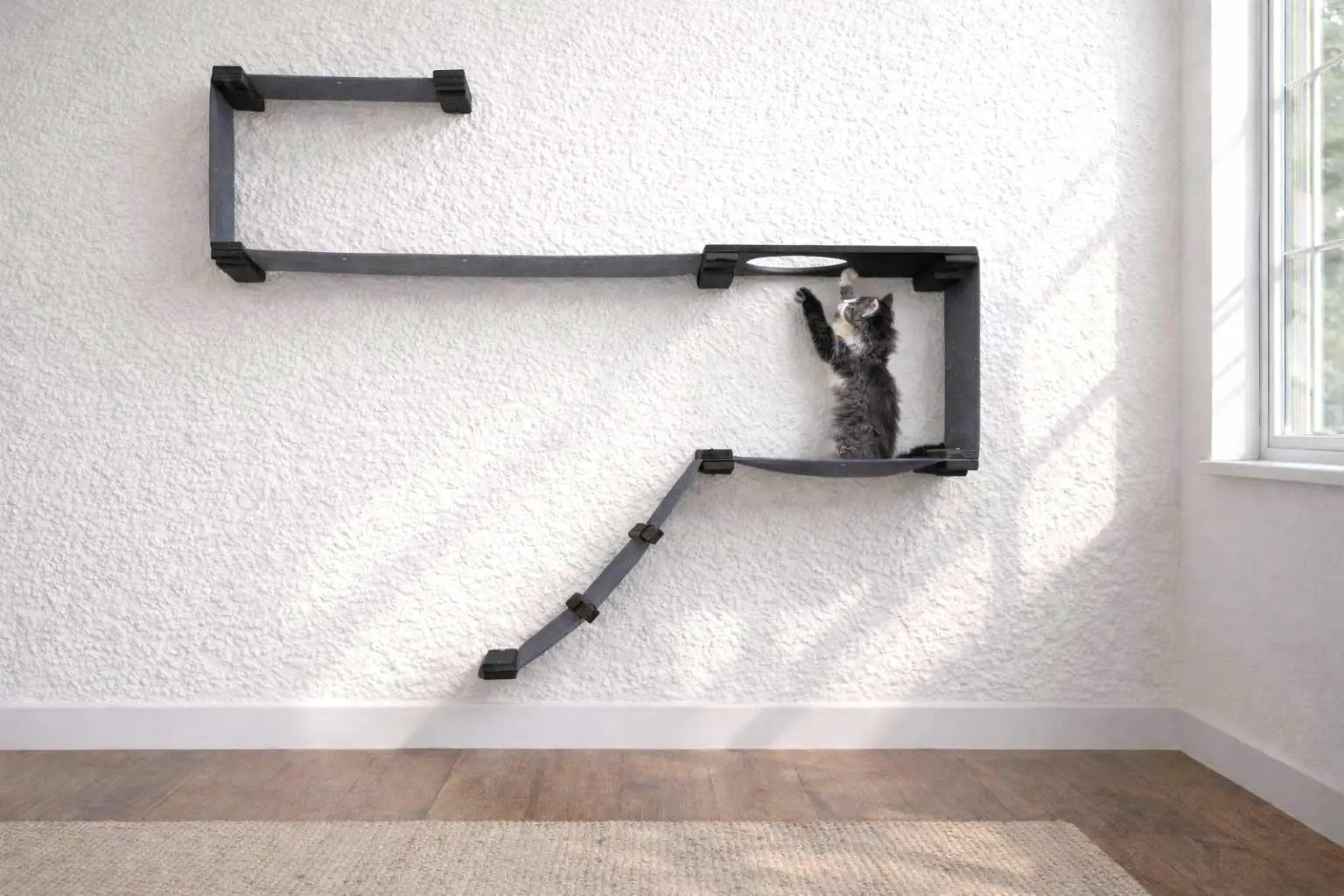 The Play cat wall system by Catastrophic Creations, a dark gray wall-mounted cat condo with a square frame and ramp.