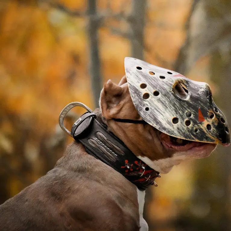 The "Haunted'' collar LIMITED - Pet Collars & Harnesses from Bestia Dog Gear