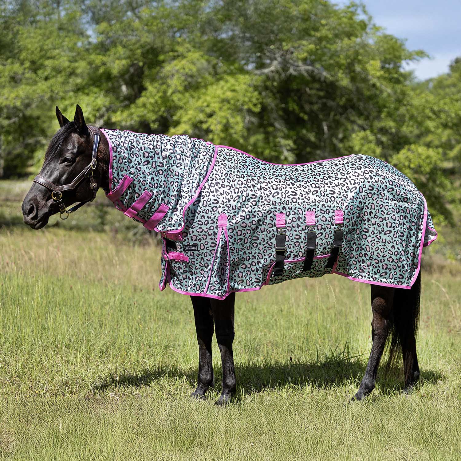 Jeffers Expression Softmesh Combo Neck Horse Fly Sheet in teal leopard print with pink trim