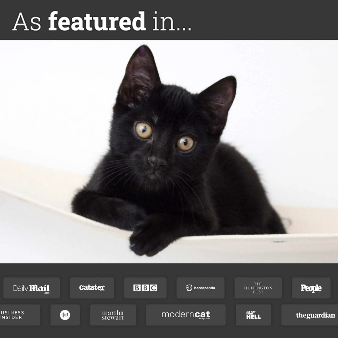 Hanging Cat Bed Hammock with a black kitten in a white hammock.