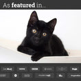 Load image into Gallery viewer, Hanging Cat Bed Hammock with a black kitten in a white hammock.

