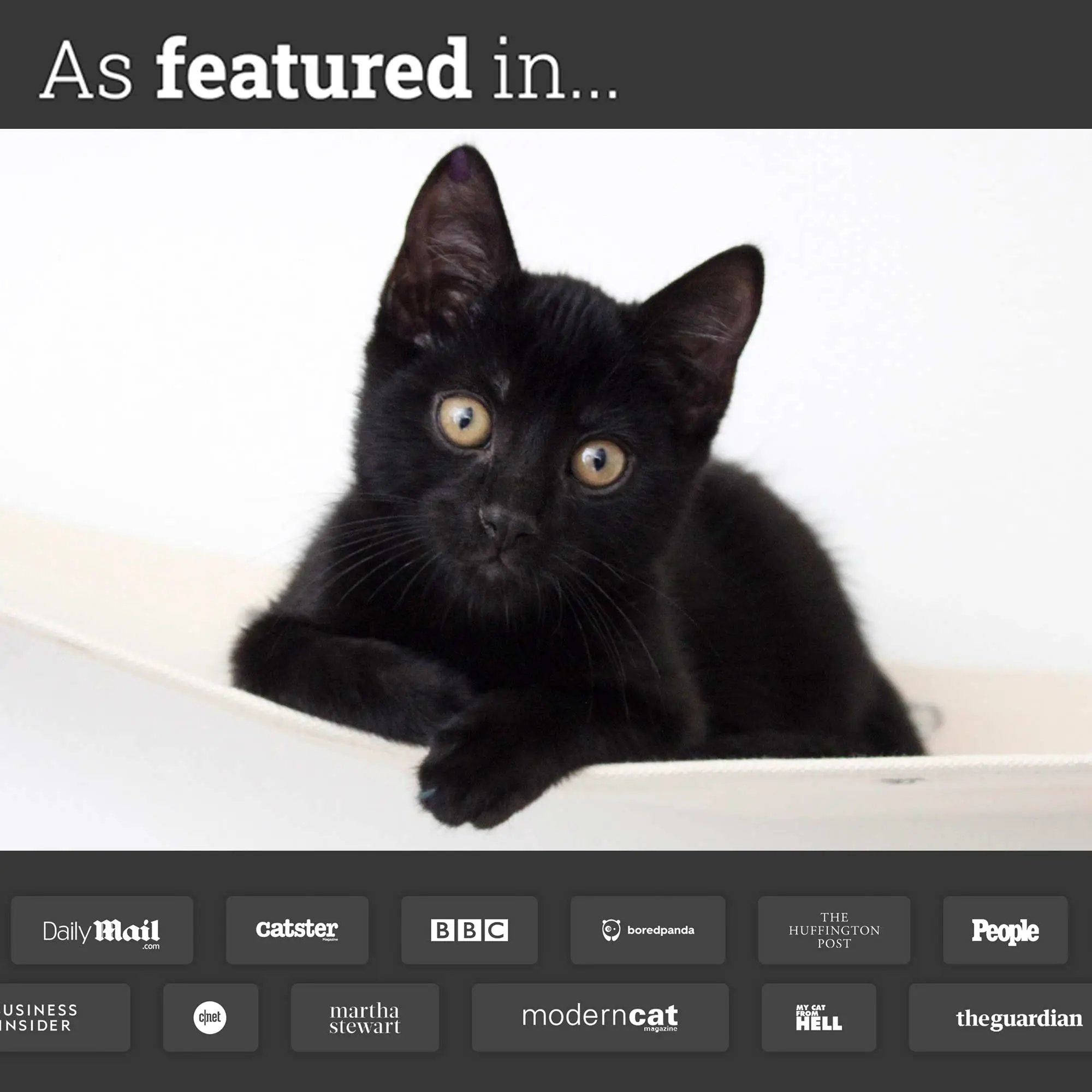 Hanging Cat Bed Hammock with a black kitten in a white hammock.