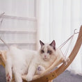 Charger et lire la vidéo dans la visionneuse de la galerie, Cat Hammock Wooden Bed Pet Supplies
