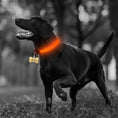 Bild in Galerie-Betrachter laden, Black dog outdoors wearing an orange-glowing LED collar and a bone-shaped identification tag.

