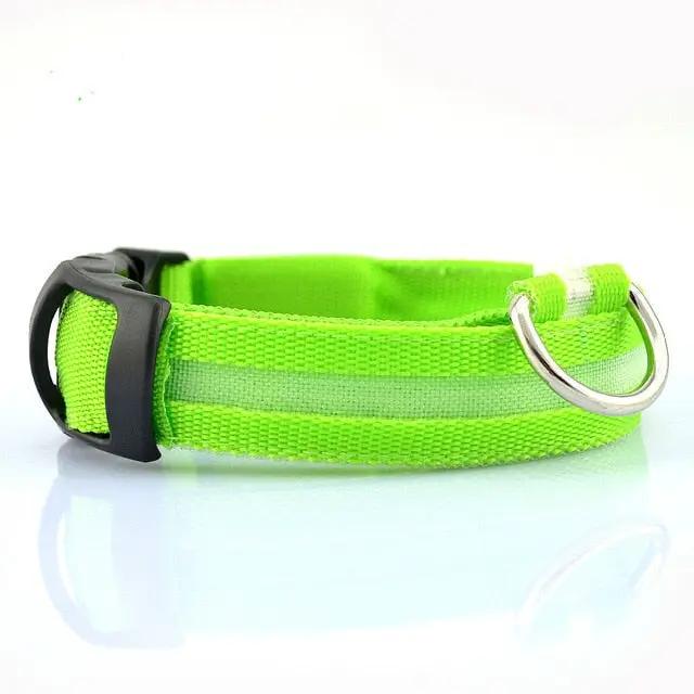 Green LumaGlow adjustable LED dog collar with a pale center strip, black buckle, and metal D-ring.
