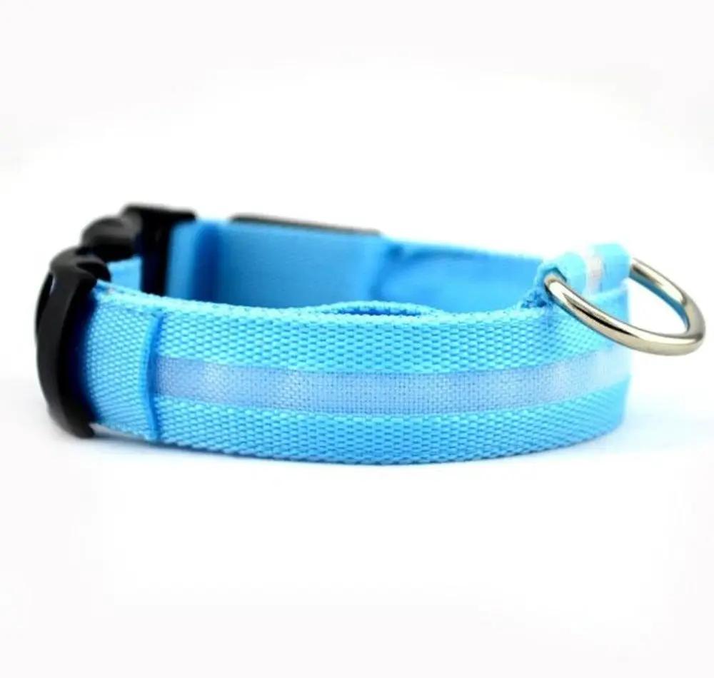 Blue LumaGlow adjustable LED dog collar with a pale center strip, black buckle, and metal D-ring.