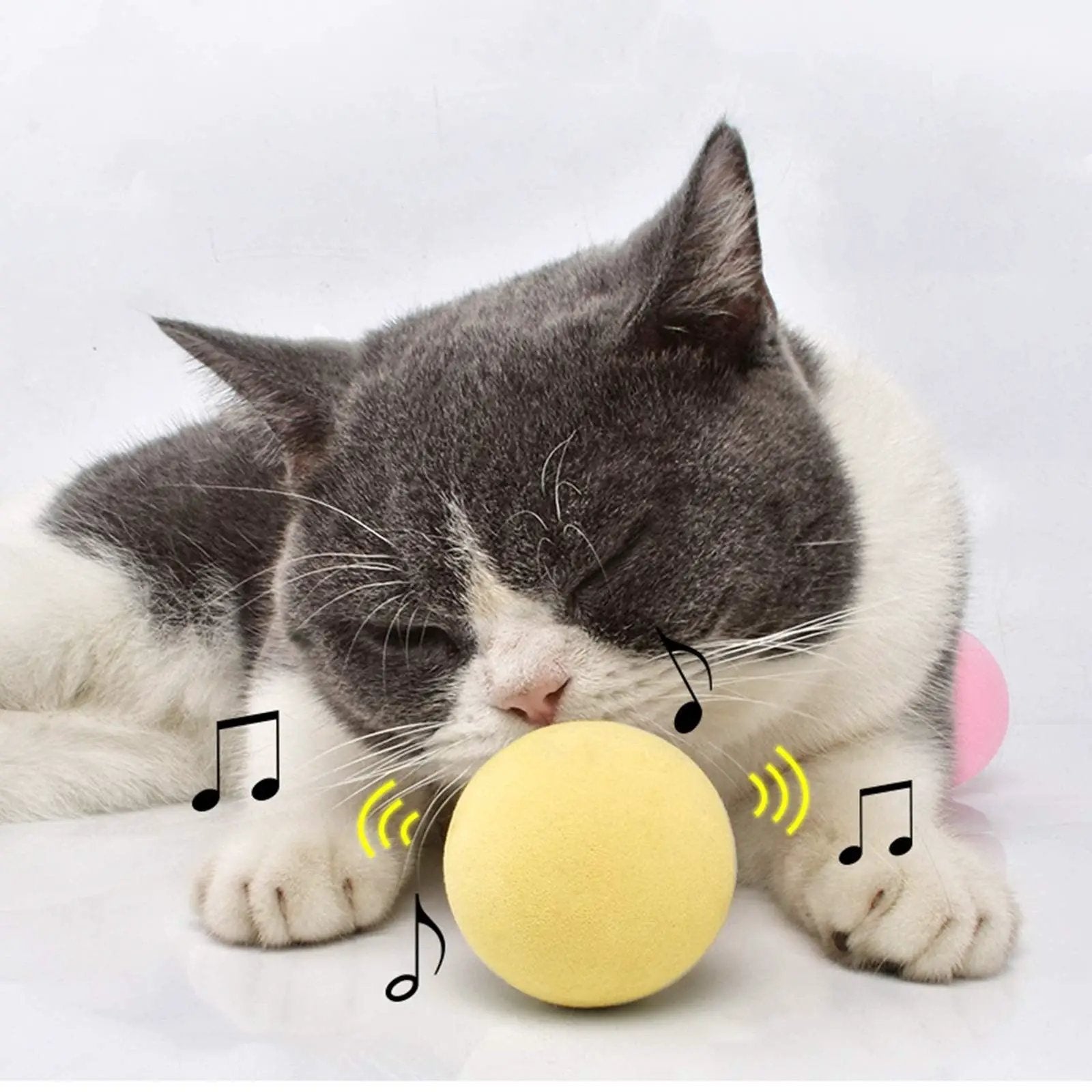 STEVVEX Interactive Cat Toy Ball With Realistic Chirping Sounds Auto Motion Activation For Pet Exercise Hunting Play by Stevvex