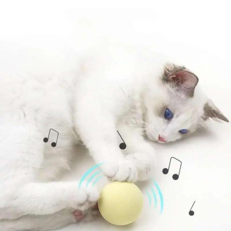 STEVVEX Interactive Cat Toy Ball With Realistic Chirping Sounds Auto Motion Activation For Pet Exercise Hunting Play by Stevvex