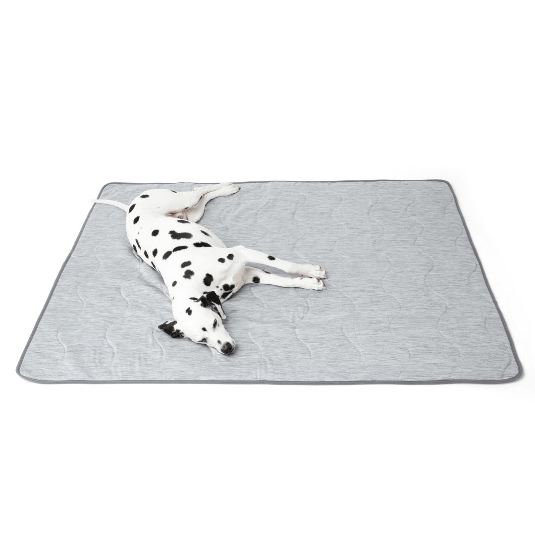 Dog resting on the PupChill Cooling Waterproof Blanket - Arctic Grey, providing comfort and waterproof protection.