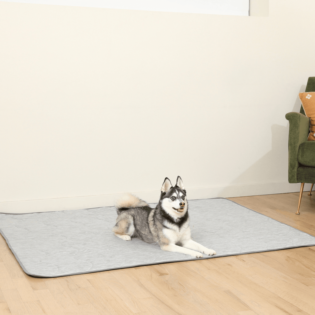 PupChill Cooling Waterproof Blanket Arctic Grey by Paw.com; gray pet mat with two dogs lounging.