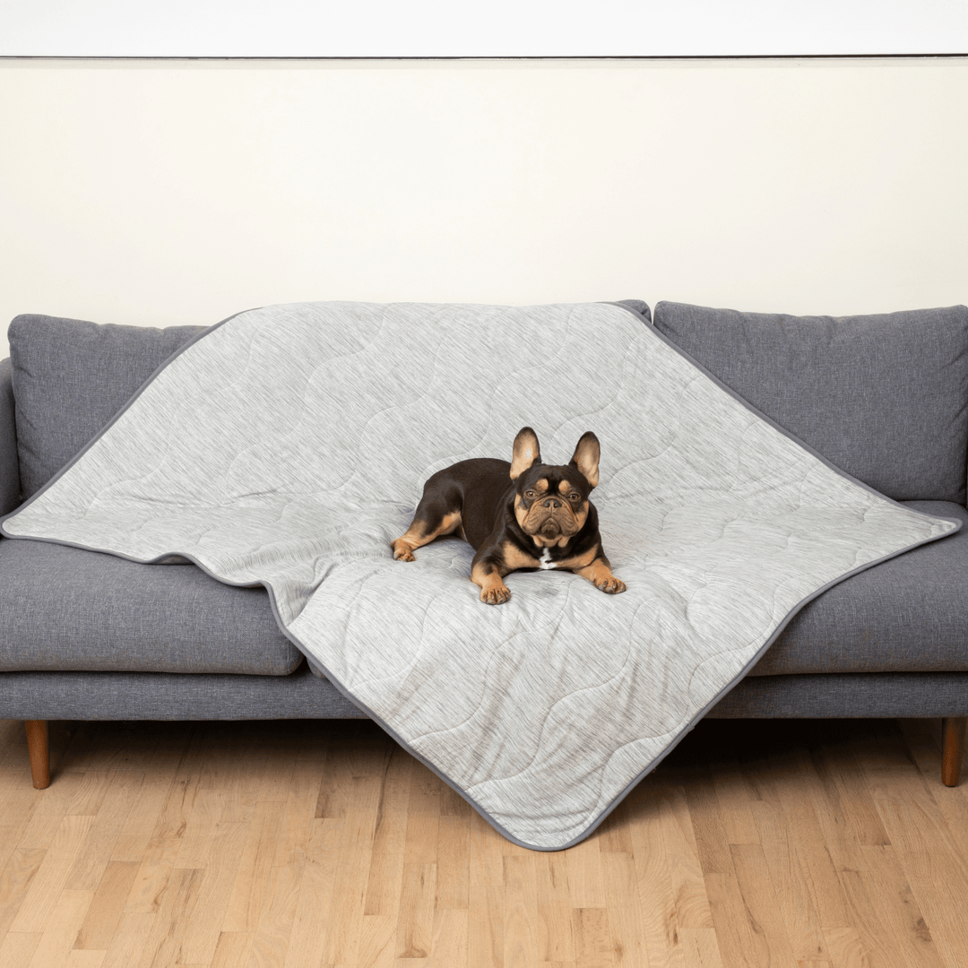 PupChill cooling waterproof blanket Arctic Grey on a gray quilted sofa, with a small dog comfortably resting.