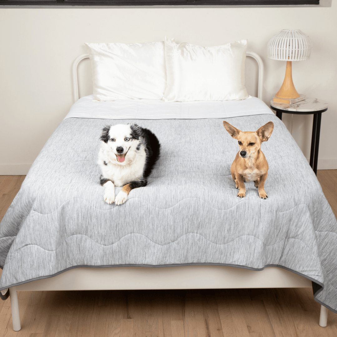 Two dogs on a bed with the PupChill Cooling Waterproof Blanket - Arctic Grey for comfort and protection.