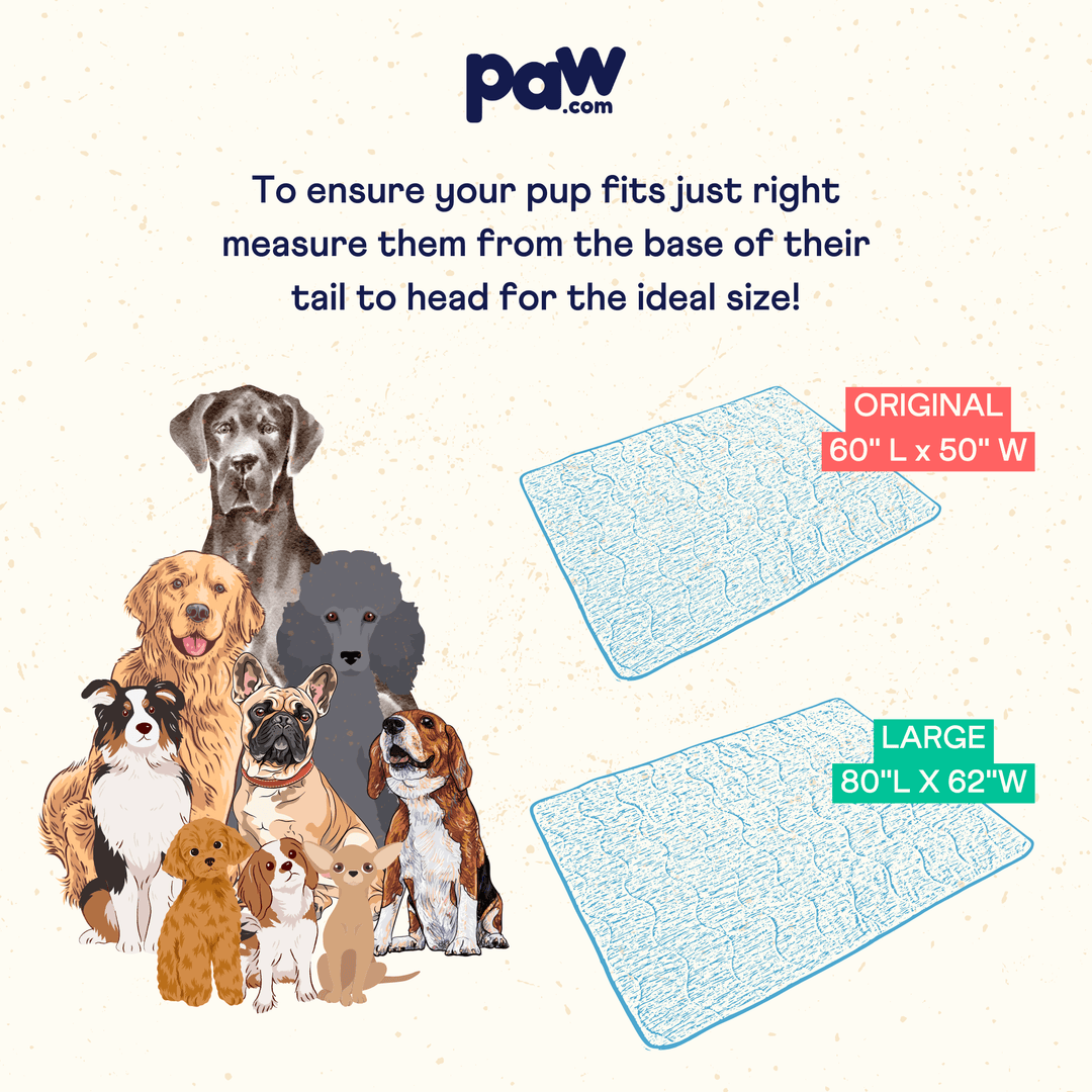 PupChill Cooling Waterproof Blanket Arctic Grey by Paw.com; image shows several dogs and a blue outlined blanket