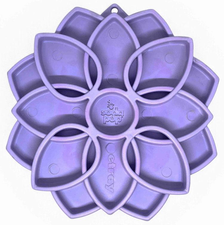 Mandala Softie eTray Slow Feeder Dog Bowl with suction cups for puppies and messy eaters