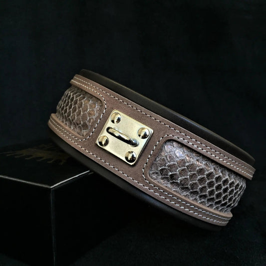 The ''Python'' exclusive design - Pet Collars & Harnesses from Bestia Dog Gear