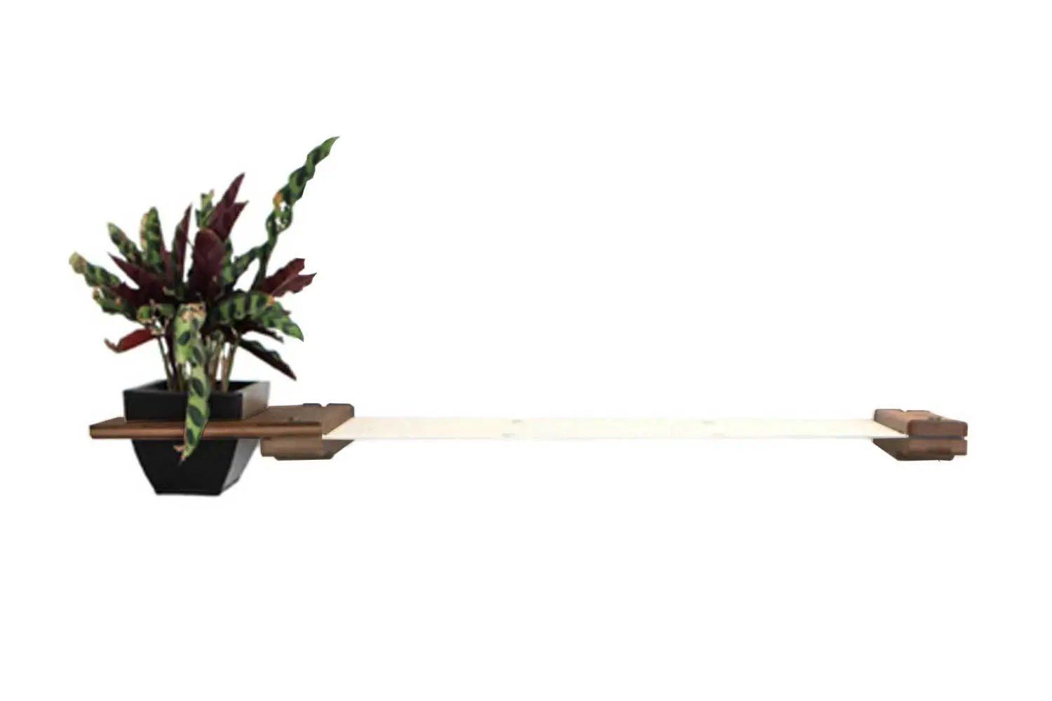 Cat Hammock Wall with Planter, long beige wooden cat perch with dark end caps and a black planter on the left