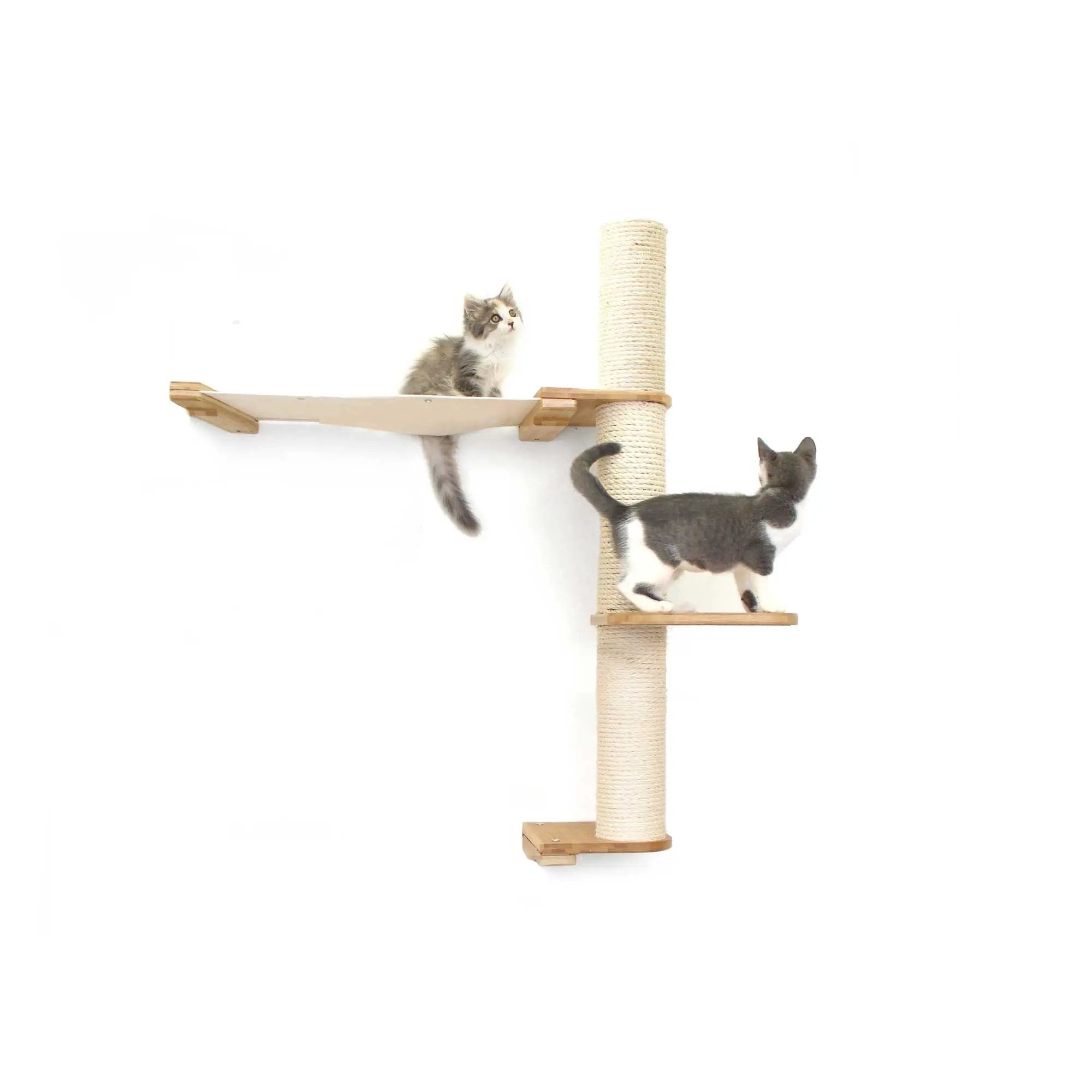 The Crow's Nest wall cat condo with hammock and sisal rope post; natural wood finish, two kittens.