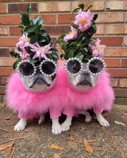 Haute Couture Feathered Luxury Pet Sweater; two dogs wear pink fluffy knit with floral headpieces and pearl sunglasses