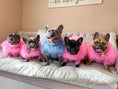 Load image into Gallery viewer, Haute Couture Feathered Luxury Pet Sweater; five dogs in pink fluffy sweaters with one blue accent
